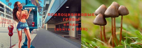 крисы Покачи
