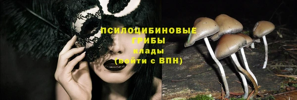 крисы Покачи