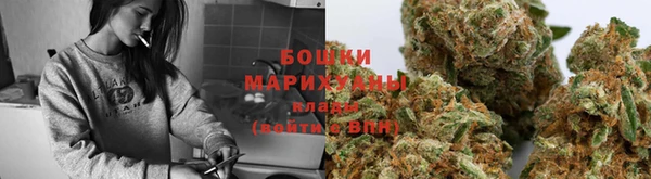 дурь Богородицк