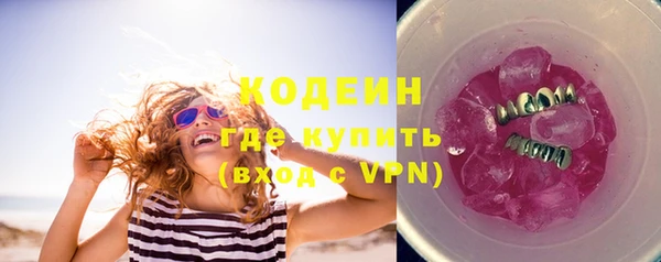эйфоретик Бородино