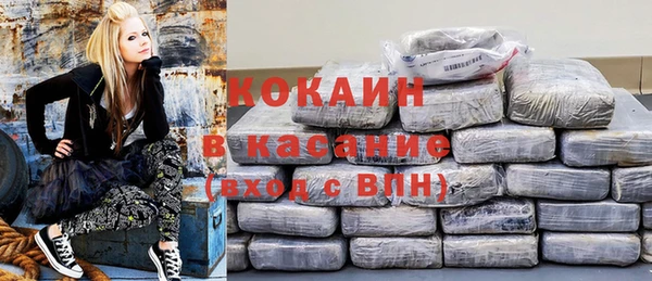 гашик Россошь