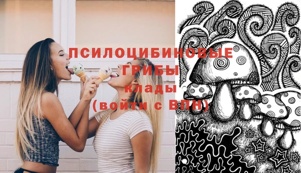 крисы Покачи